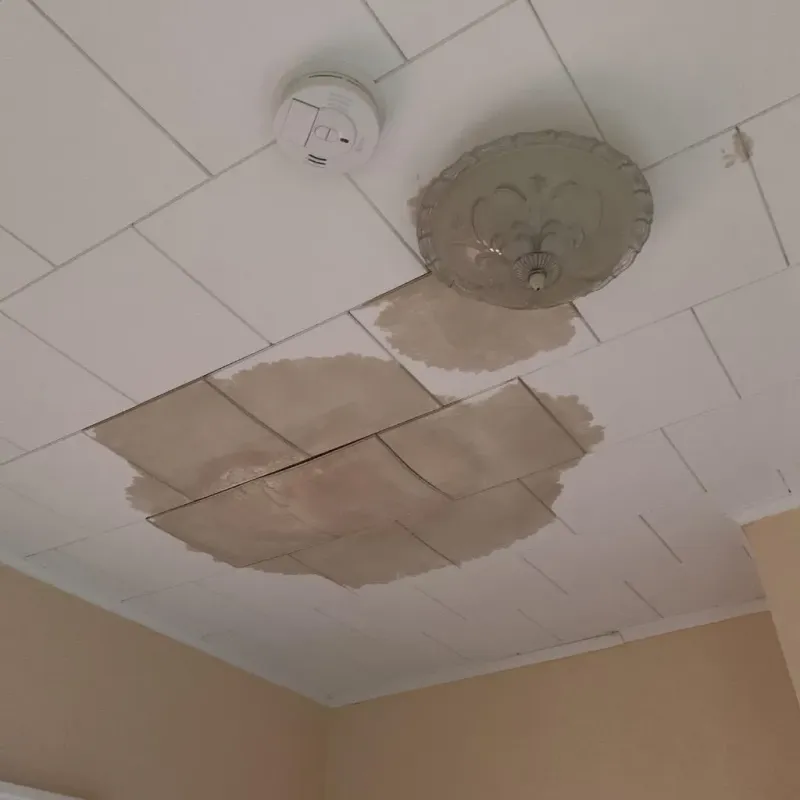 Ceiling Water Damage Repair in Ulster County, NY