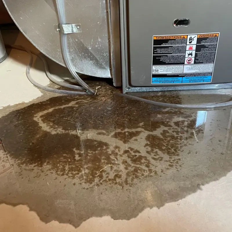 Pipe Burst and Leak Restoration in Ulster County, NY
